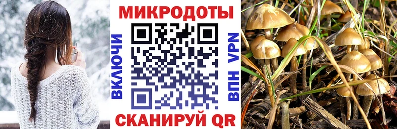Галлюциногенные грибы Psilocybine cubensis kraken ONION Долинск